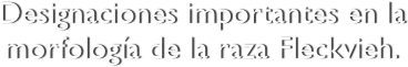 Designaciones importantes en la morfología de la raza Fleckvieh.